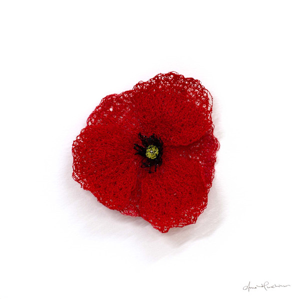 Common Poppy by Anna Hutchinson