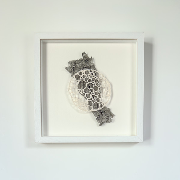 Evidence by Anna Hutchinson, Image 1.