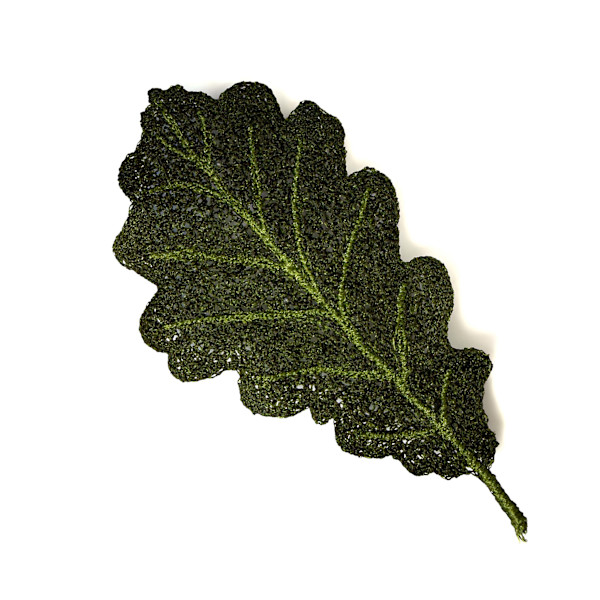 Oak Leaf I by Anna Hutchinson