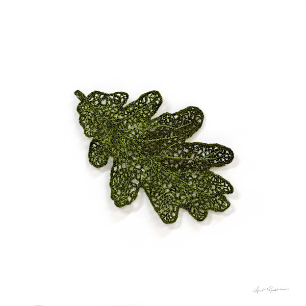 Oak Leaf Lace by Anna Hutchinson