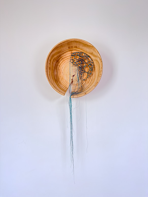 Open System by Anna Hutchinson, Image 1.