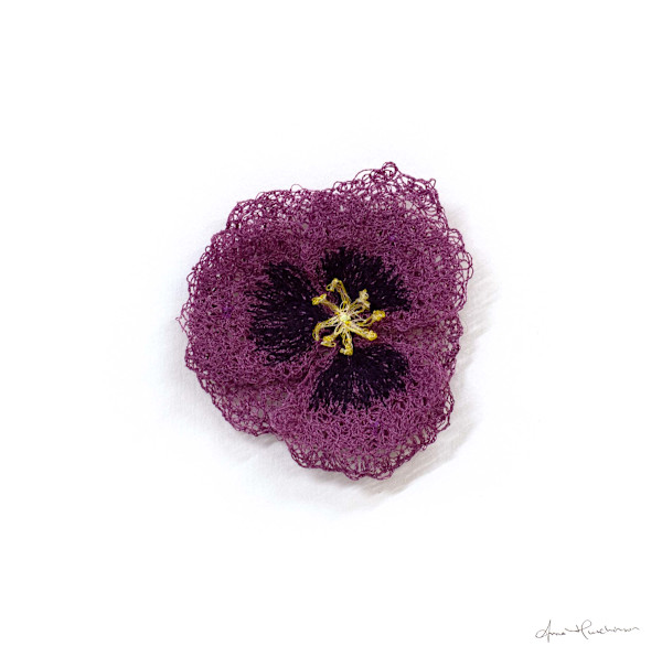 Opium Poppy by Anna Hutchinson