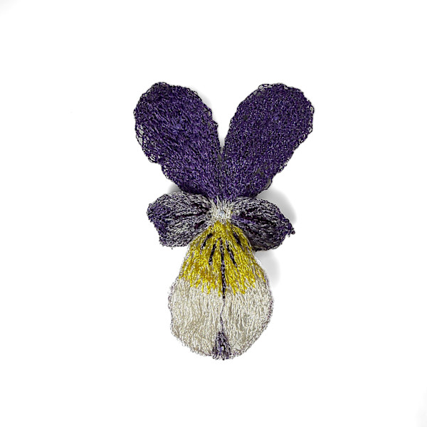 Wild Pansy by Anna Hutchinson