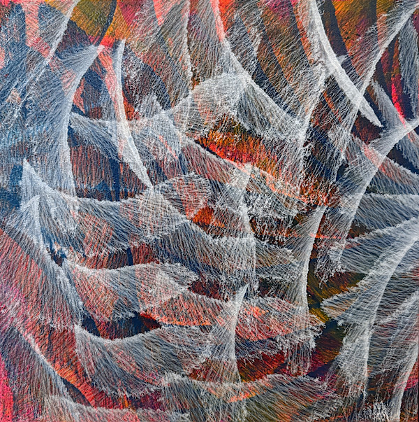 The Last Dance of the Leaves, 2025 by Rushit Shah