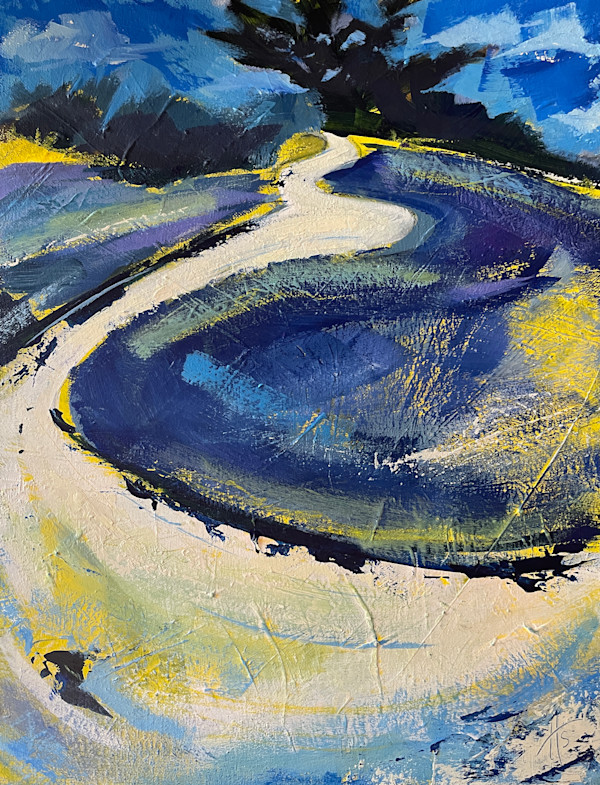 Birds Eye Path by Hélène Scott