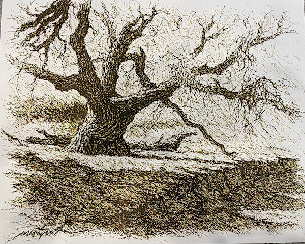 Favorite Tree in Lewis Canyon by Larry Prestwich, Image 11.
