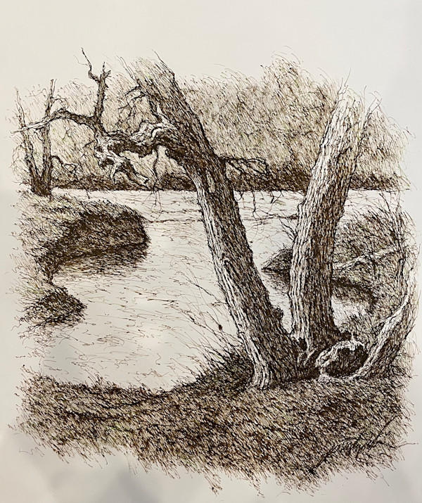 Landscape Along the South Platte River, Colorado by Larry Prestwich, Image 12.