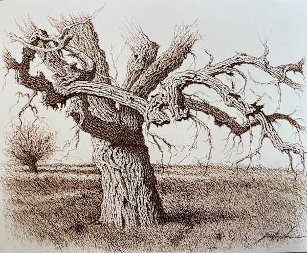 Big Tree by Larry Prestwich, Image 6.