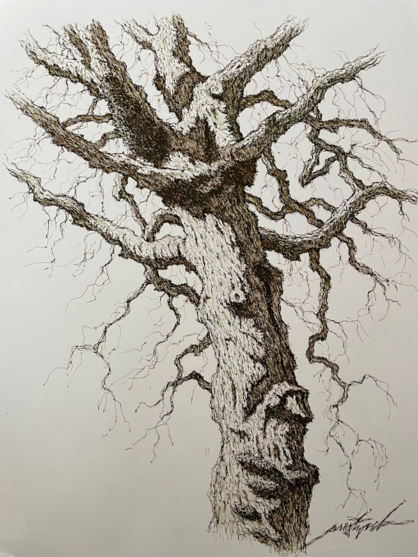 Le Havre Tree 1 by Larry Prestwich, Image 14.