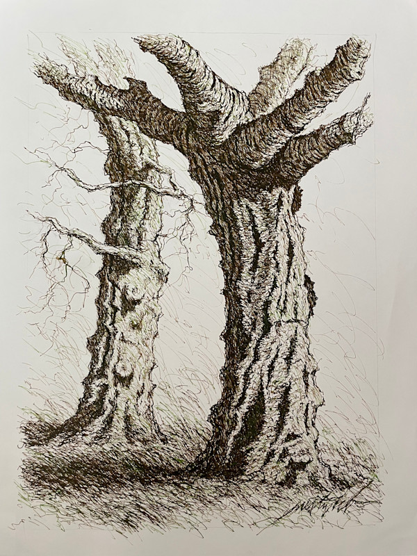 Le Havre Tree 2 by Larry Prestwich, Image 13.