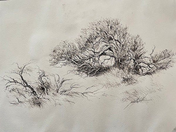 Todd and Allison's Tree by Larry Prestwich, Image 1.