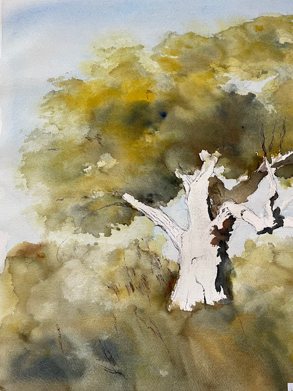 Unfinished Tree by Larry Prestwich, Image 1.