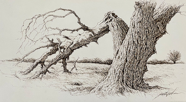 Platte River Tree 2 by Larry Prestwich, Image 16.