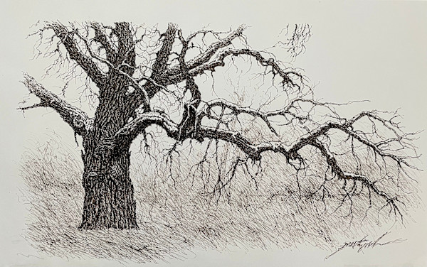 Platte River Tree by Larry Prestwich, Image 7.