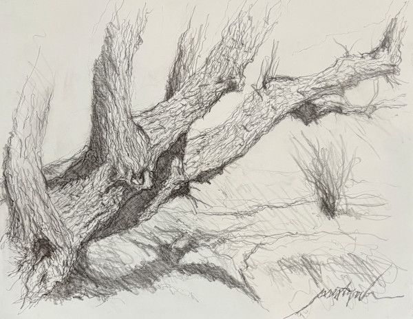Longmont Canal Tree 1 by Larry Prestwich, Image 1.