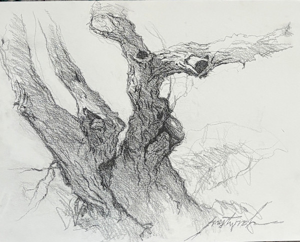 Longmont Canal Tree 2 by Larry Prestwich, Image 1.
