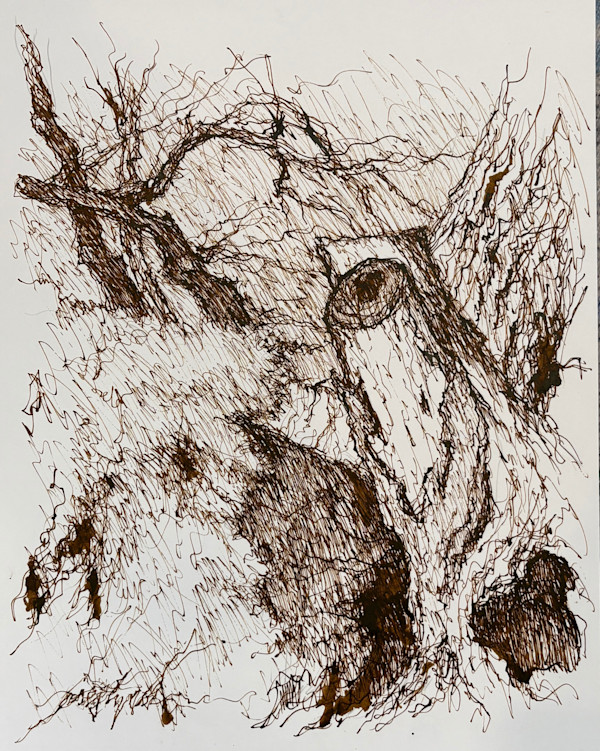 Longmont Canal Tree 4 by Larry Prestwich, Image 1.