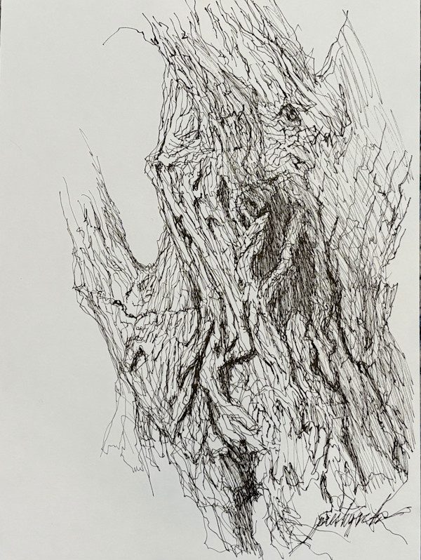 Longmont Canal Tree Sketch by Larry Prestwich, Image 1.