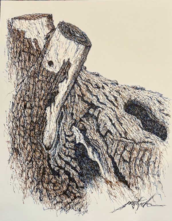 Hollow Tree 2 by Larry Prestwich, Image 1.