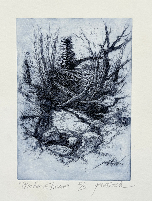 Winter Stream 2/5 by Larry Prestwich, Image 1.