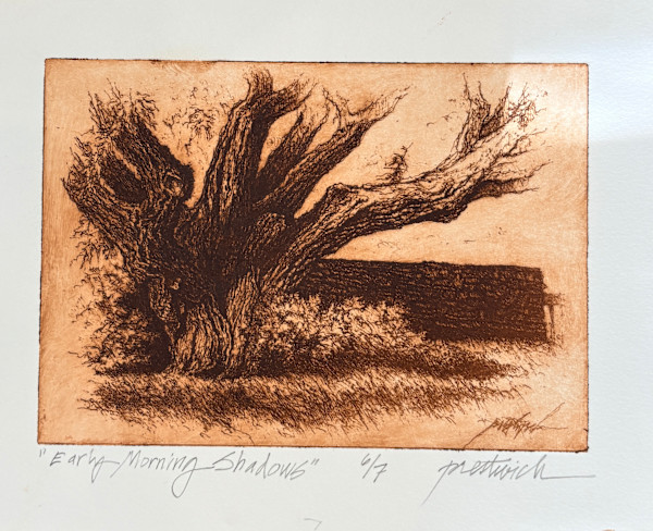 Early Morning Shadows 6/7 by Larry Prestwich, Image 1.