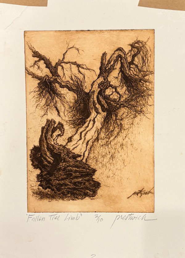 Fallen Tree Limb 2/10 by Larry Prestwich, Image 1.