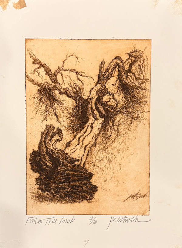 Fallen Tree Limb 9/10 by Larry Prestwich, Image 1.