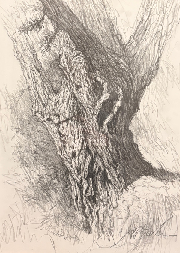 September Tree Shadows by Larry Prestwich, Image 1.