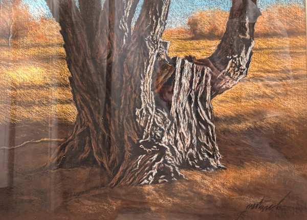 Evening Tree Trunk by Larry Prestwich, Image 1.