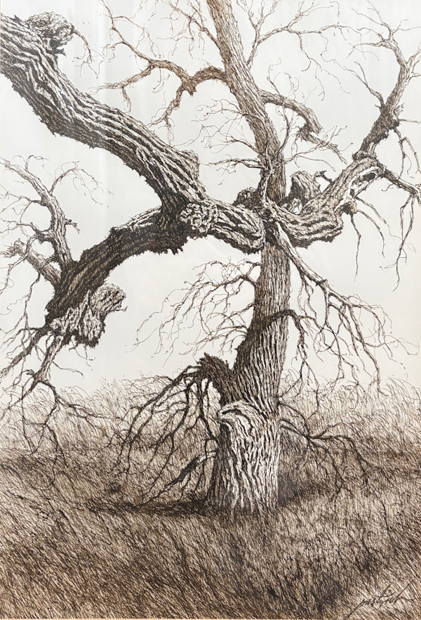 Afternoon Trees in Early Spring by Larry Prestwich, Image 1.