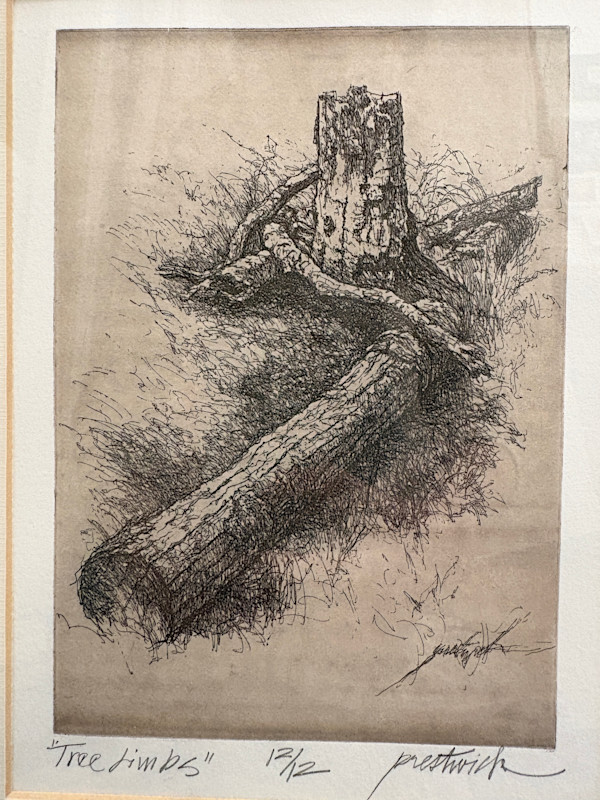 Tree Limbs 12/12 by Larry Prestwich, Image 1.