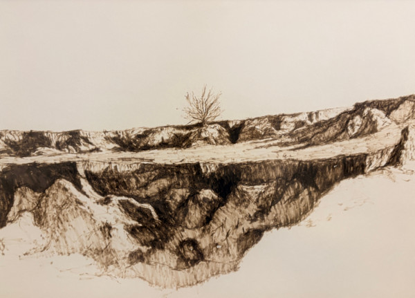Tree in the Canyon by Larry Prestwich, Image 1.