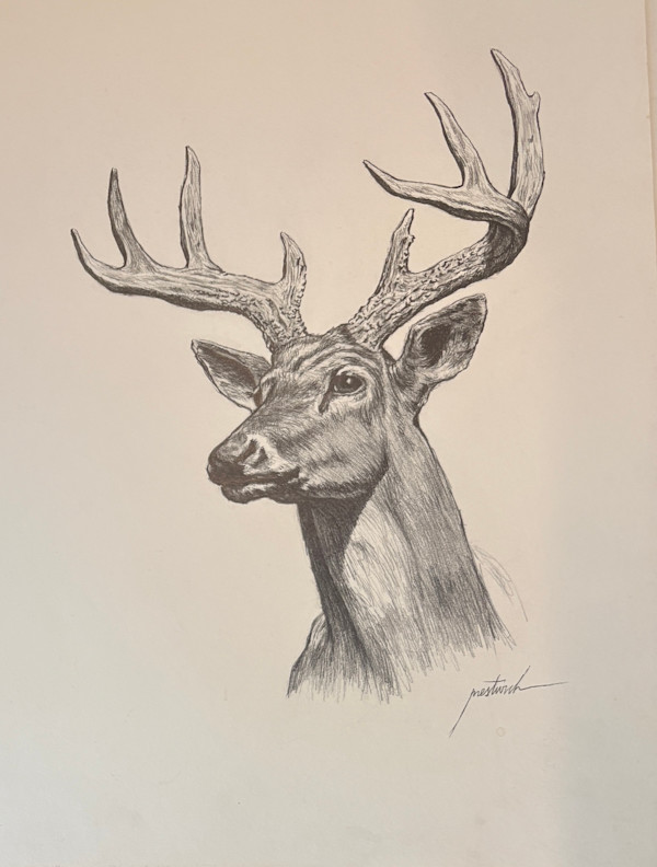 Elk by Larry Prestwich, Image 1.