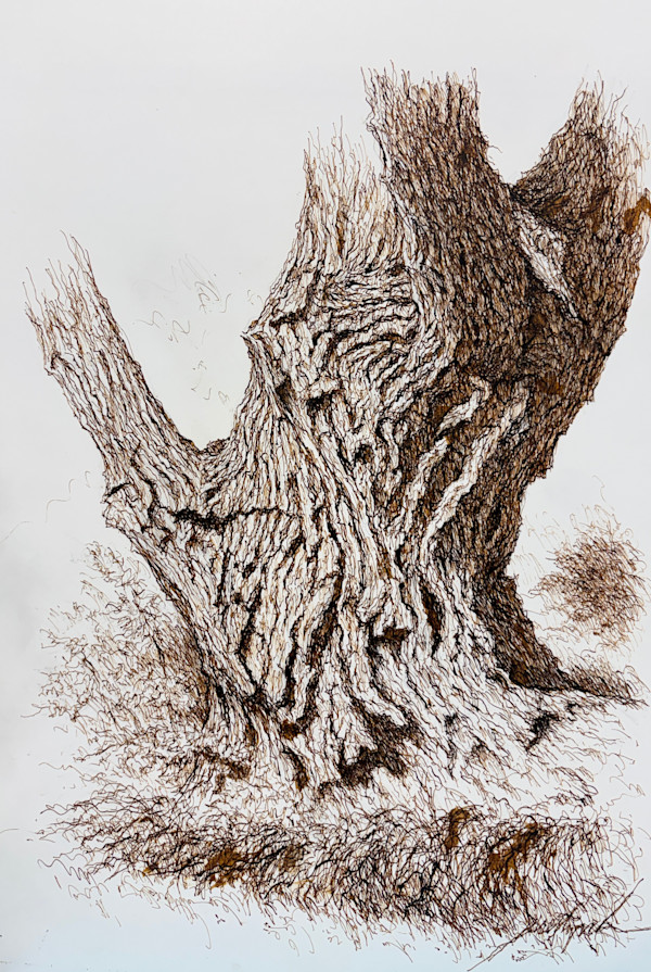 Large Tree Trunk by Larry Prestwich, Image 1.