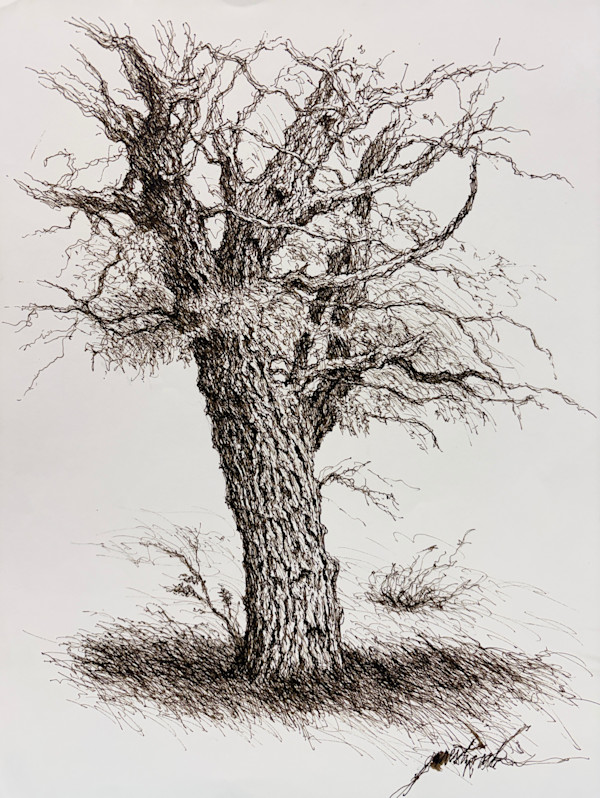 Untitled Tree by Larry Prestwich, Image 1.