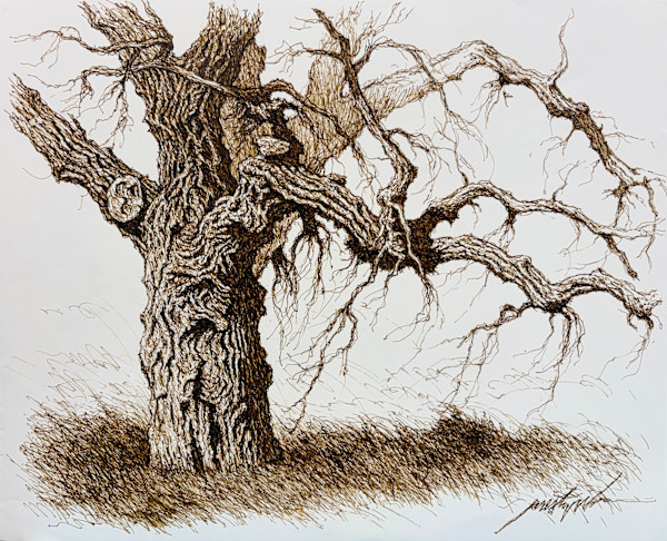 Untitled by Larry Prestwich, Image 1.