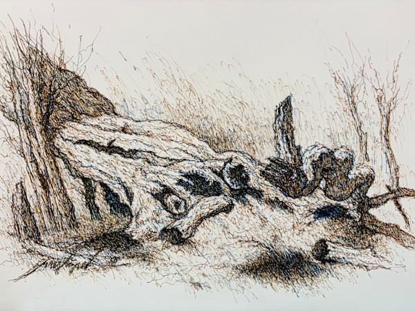 Untitled by Larry Prestwich, Image 1.