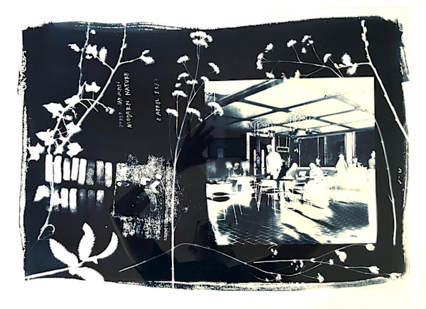 8 April iii by Pam Newall