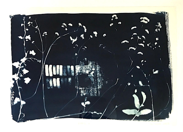 8 April ii by Pam Newall