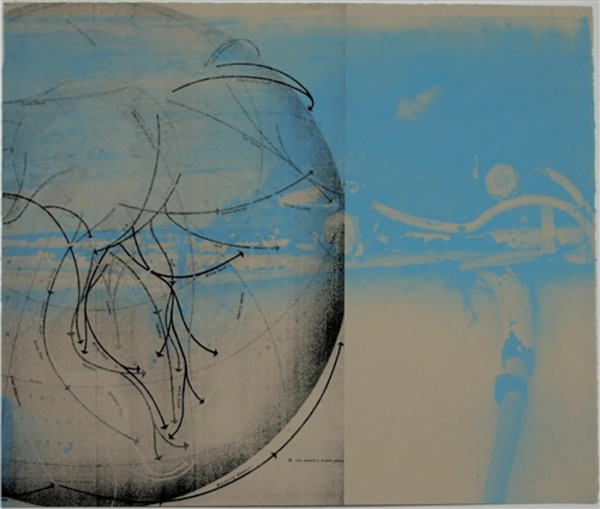 Migration iv by Pam Newall