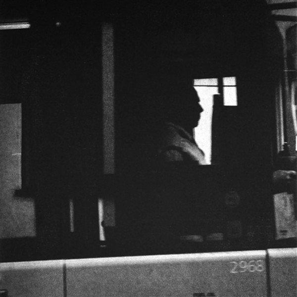 Bus by Pam Newall