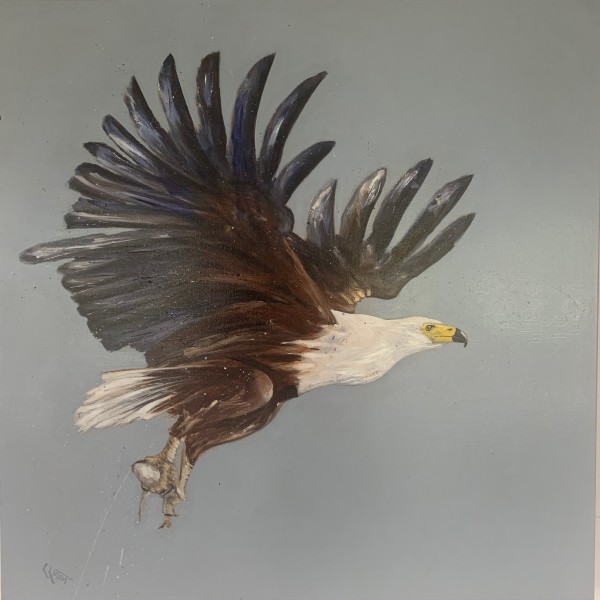 African fish Eagle by Louise Luton
