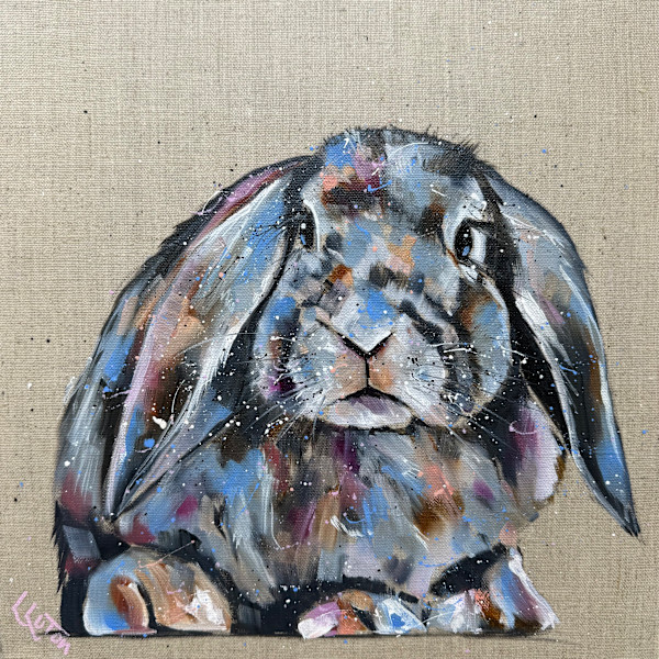 Little lop eared rabbit by Louise Luton