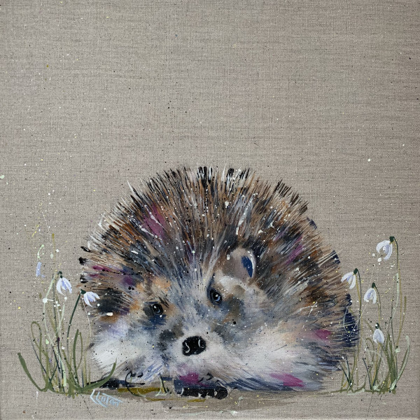 Hedgehog in snowdrops by Louise Luton