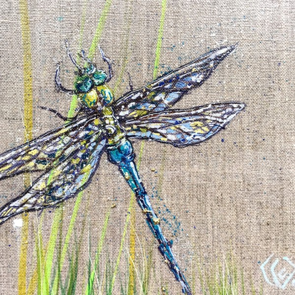 Turquoise Dragonfly by Louise Luton