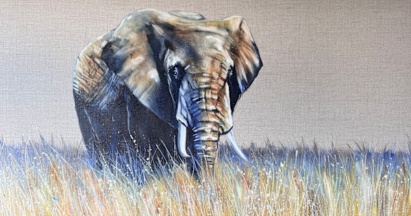 Fields of gold by Louise Luton