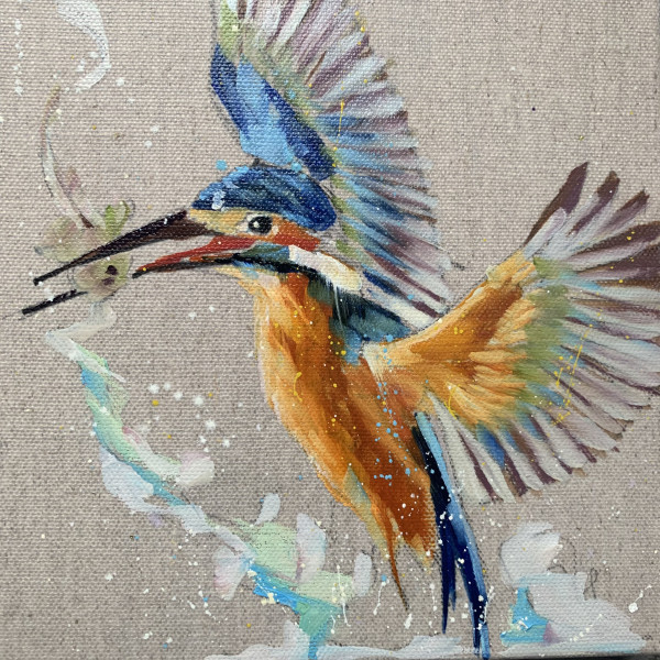 Little kingfisher