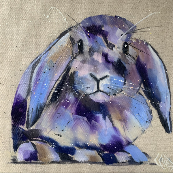Little french blue rabbit