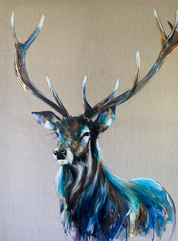 Montegu by Louise Luton