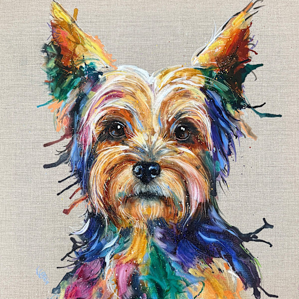 Yorkie by Louise Luton